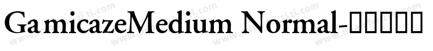 GamicazeMedium Normal字体转换